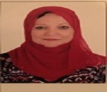 Nagwa A Meguid