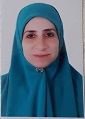 Gehan Hussein Gehan Hussein