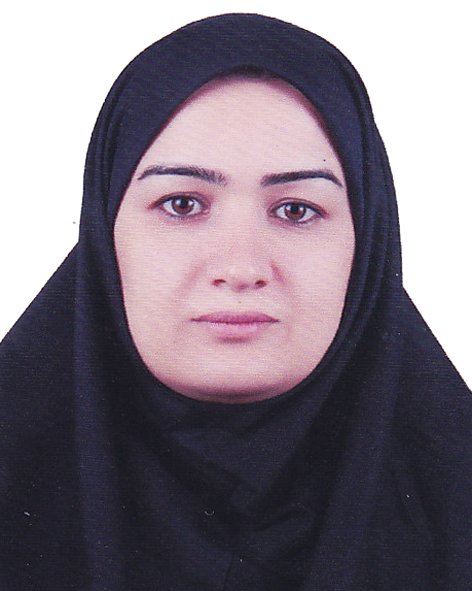 Narges Gholami Boshroyeh