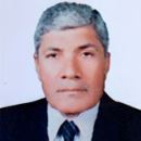 Mohamed Aly Zewail