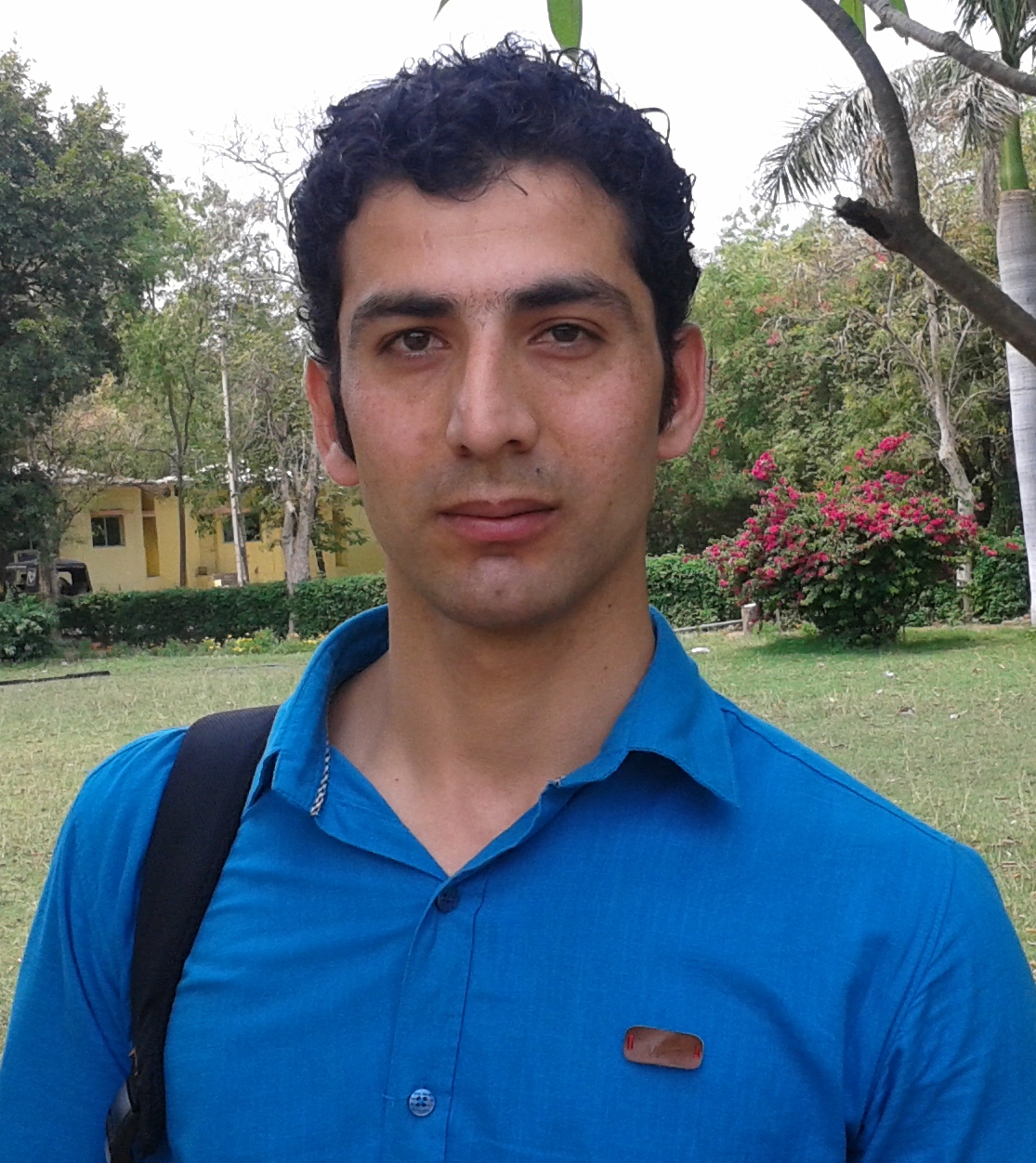 Mohammad A Ahanger