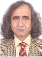 Amir A Sepehri