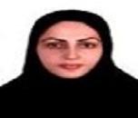 Parisa Nejati