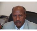 Siddig H. Hamad