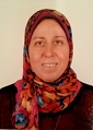 Mervat Ismail El-Borhamy