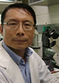 Burton B Yang