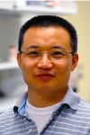 Zhong Wang