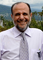 Yousif A Asiri