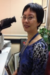 Christine Loo