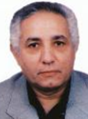 Mohamed Mostafa Shokry