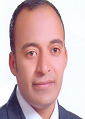 Mohamed Ashour Fikry Metwally