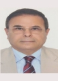 Adel Mahmoud 
