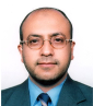 Ramzi Mothana