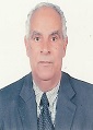 Mohamed Sanousi Nasr