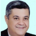Ahmed Nasr Ghanem 