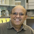 Conference Series Plant Physiology 2016 International Conference Keynote Speaker Desh Pal S. Verma photo