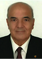 Sameeh A. Mansour