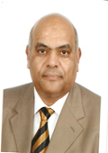 Mohamed B. Argoun 