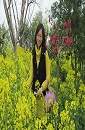 Xiao Fei