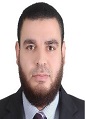Waleed E Al-Hanafy