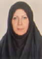 Zahra Sadeghian Speaker