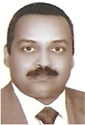 Sherif Mohamed Abdelgaid
