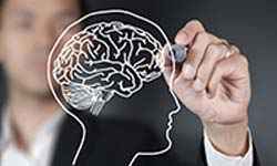 Brain Engineering and Neuro-computing