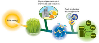  Advanced Biofuels