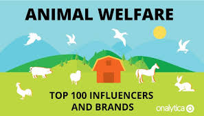 Animal welfare