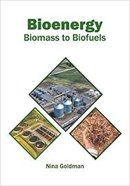 Bioenergy and Biofuels