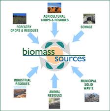 Biomass Energy Resources