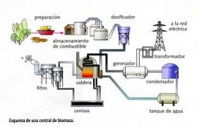 Biomass Power & Thermal