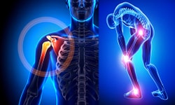 Bone Pathology or orthopaedic pathology