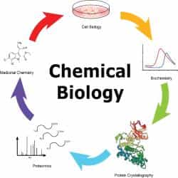 Chemical Biology