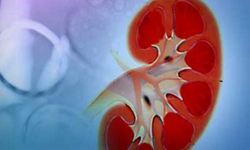 Chronic Kidney Disease (CKD) and Its Complications