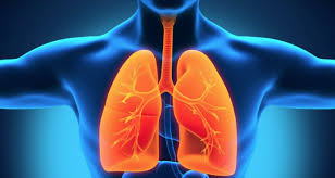 Chronic Obstructive Pulmonary Disorder and Forms of reduced lung function