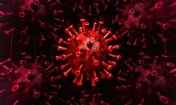Corona Virus (COVID19)