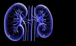 Diagnosis and treatment of kidneys