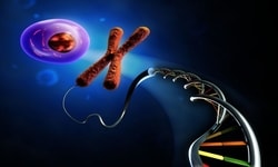 Drug Discovery and Development (r-DNA Technology)