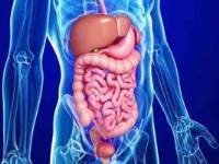 Gastroenterology and GI Disorders