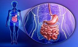 Gastrointestinal pathology