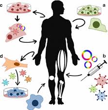 Gene and Cellular Therapies