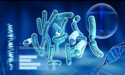 Genetics of Antibiotic Resistance