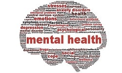 Health Economics and Mental health