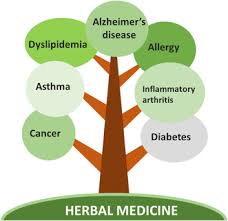 Herbal Drug Formulations