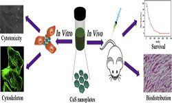 In-vitro and In-vivo Toxicology