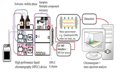 Liquid Chromatography-Mass Spectrometry (LC-MS)