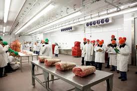 Meat Science and Food Technology