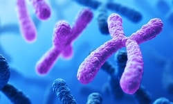 Microbial Genetics 
