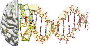 Neurogenetics